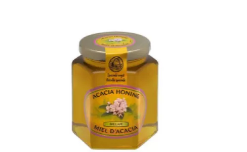 MELAPI Honing Acacia Vloeibaar (500g)