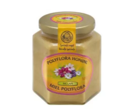 MELAPI Honing Polyflora Vloeibaar (500g)
